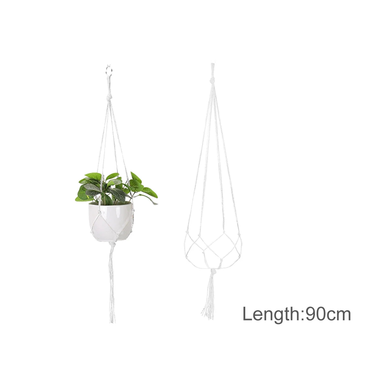 Knot Just Anything Plant Hangers